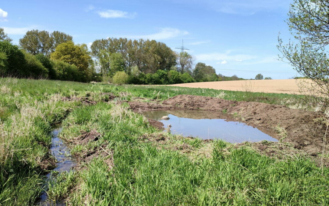 NABU – Zukunftskonzept des Kreises Lippe