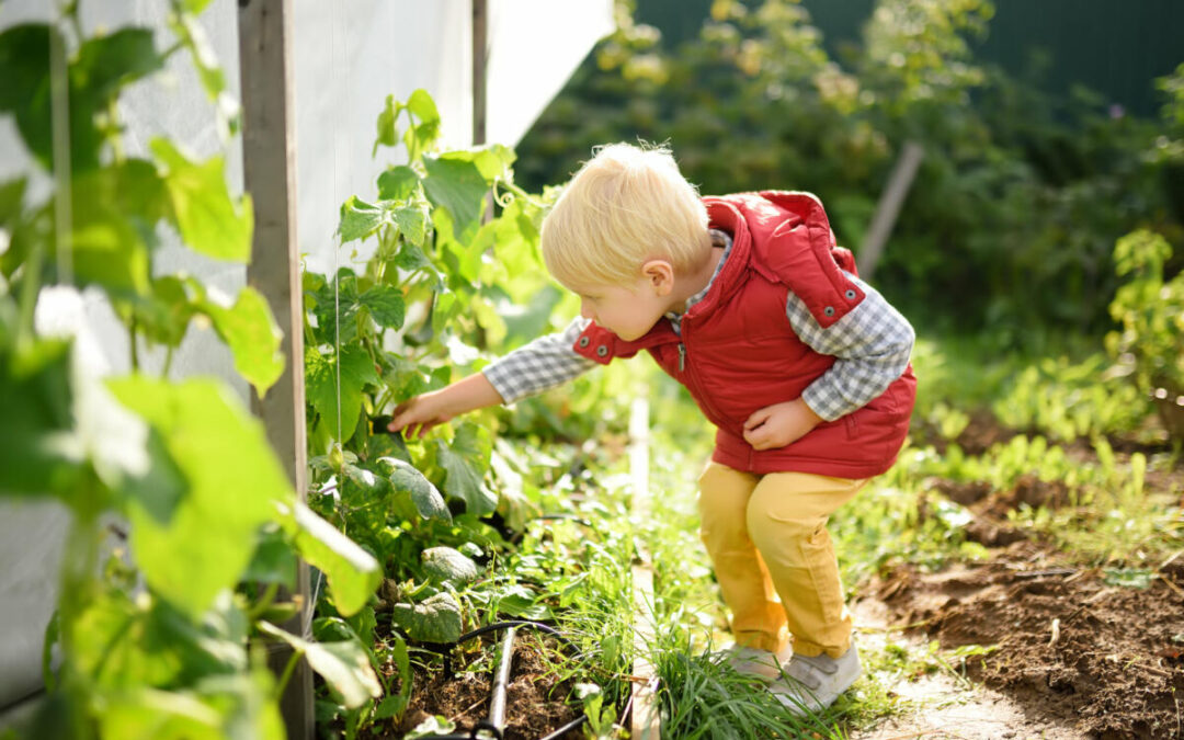 Vorsicht vor giftigen Pflanzen im heimischen Garten