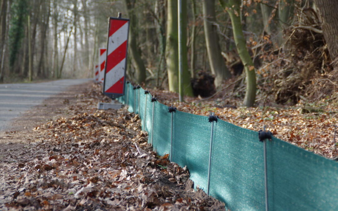 „Amphibienwanderungen“ in Bad Salzuflen