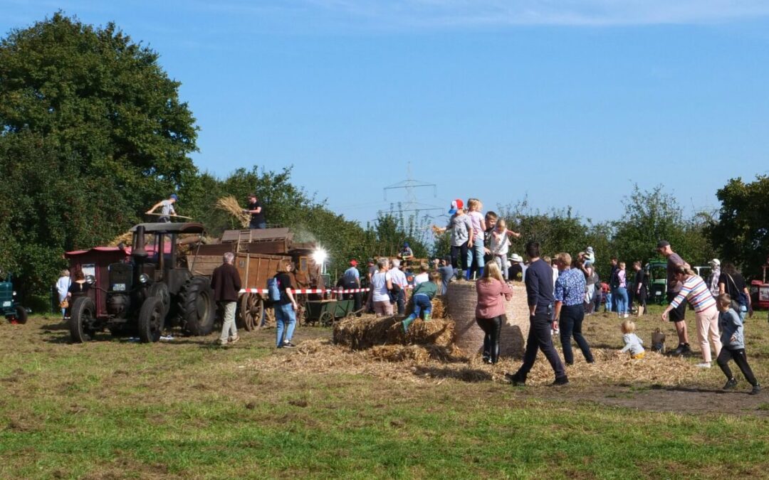 Kartoffel- und Dreschfest auf dem Heimathof