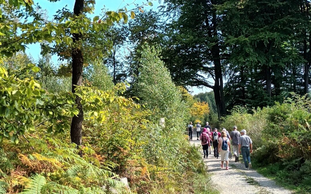 Tönsberg-Rundweg fordert Wanderer: Naturgenuss und kühles Nass an der Sachsenquelle
