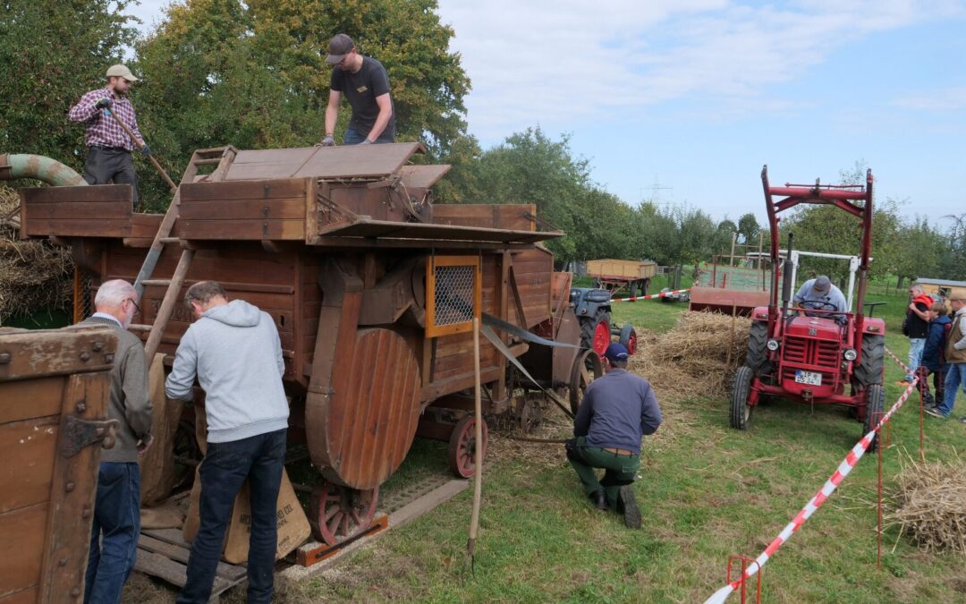 Über 800 Gäste feierten das Kartoffel- und Dreschfest auf dem Heimathof: Eine Reise zu den Wurzeln unserer Lebensmittel