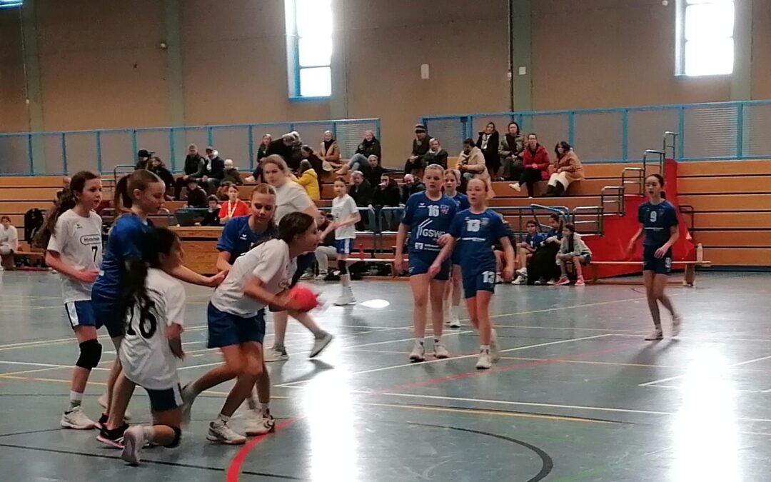 Großer Heimspieltag der Handballteams am 4.10.2025