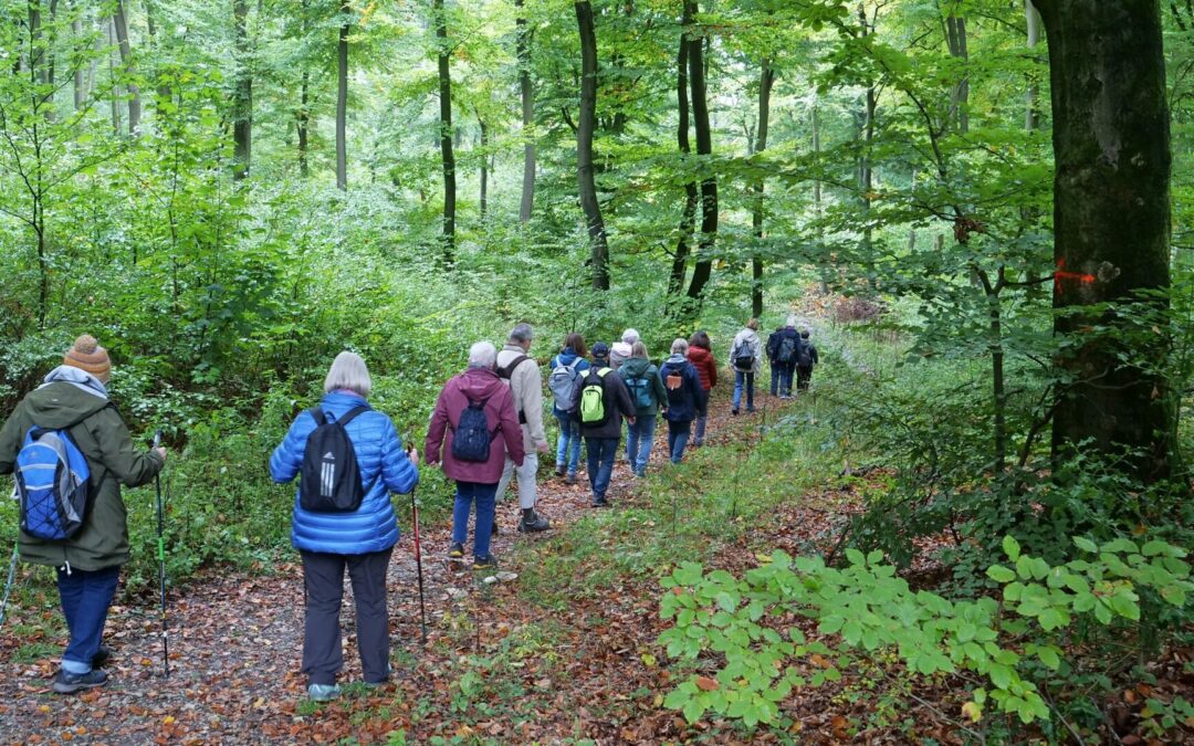 Martin Düsterberg führt Wanderfreunde auf historischen Pfaden