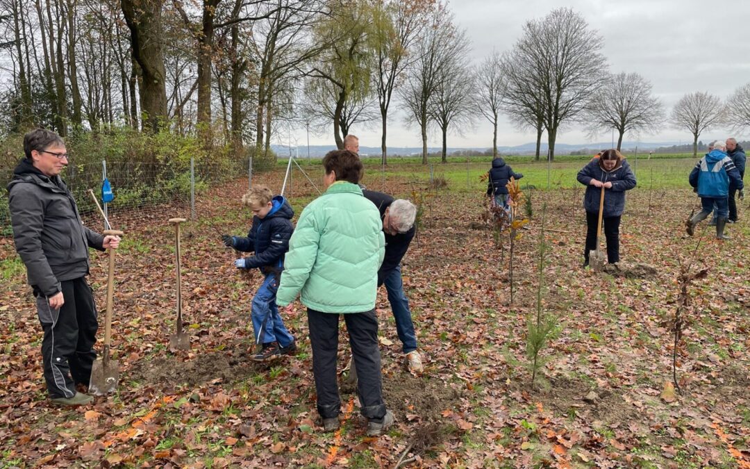 Pflanzaktion im Klimawald 3.500 Bäume für ein besseres Klima in der Gemeinde