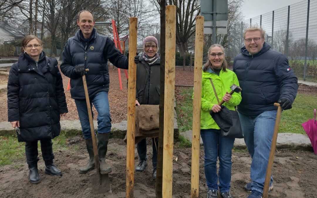 Junge stattliche Bäume in Ubbedissen und am FZZ werten die Natur auf
