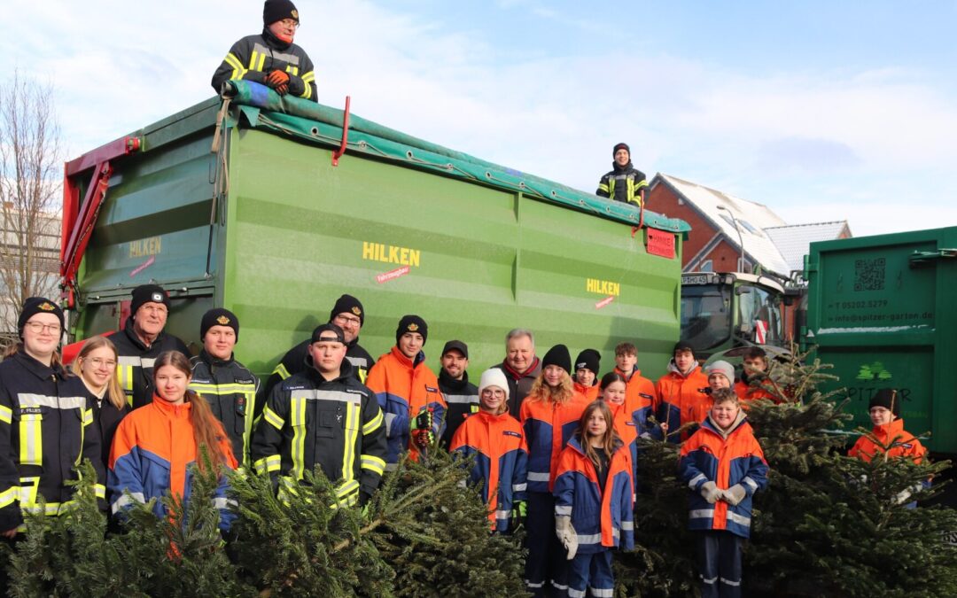 Eingesammelte Tannenbäume dienen als Brennmaterial