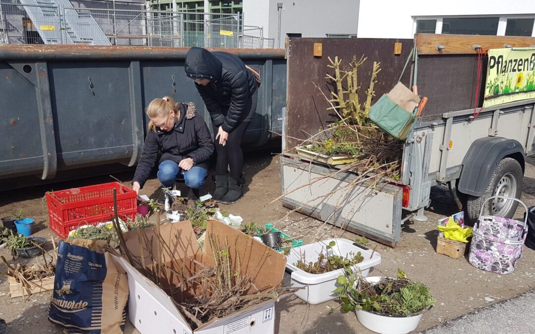 Pflanzenbörse: Vielfalt für Garten und Natur