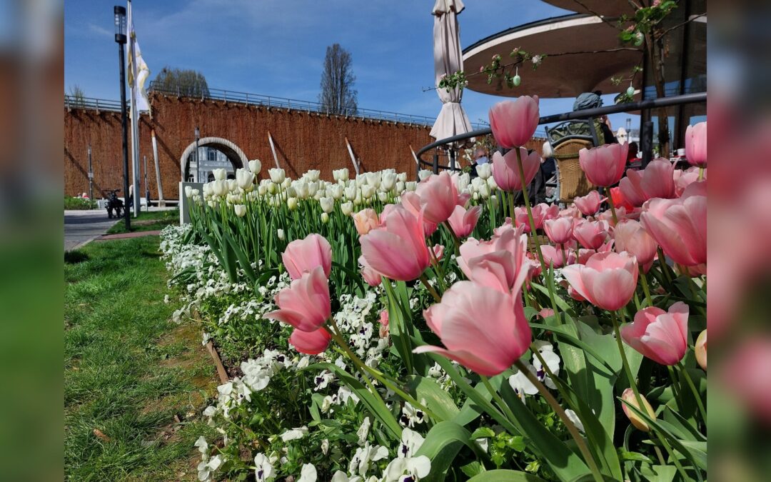 Innenstadt, Kurhaus und Kurpark locken mit Musik, Shopping, Gesundheit & Aktionen