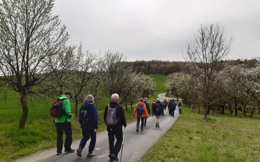 Von Bad Salzuflen nach Lemgo: Erfolgreiche Wanderung mit Panoramablick auf dem Hansaweg