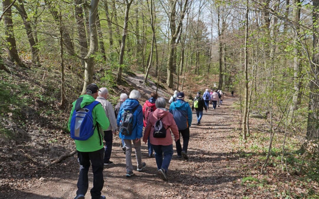 Frühlingswanderung in Pivitsheide begeistert Mitglieder des Heimatvereins Leopoldshöhe
