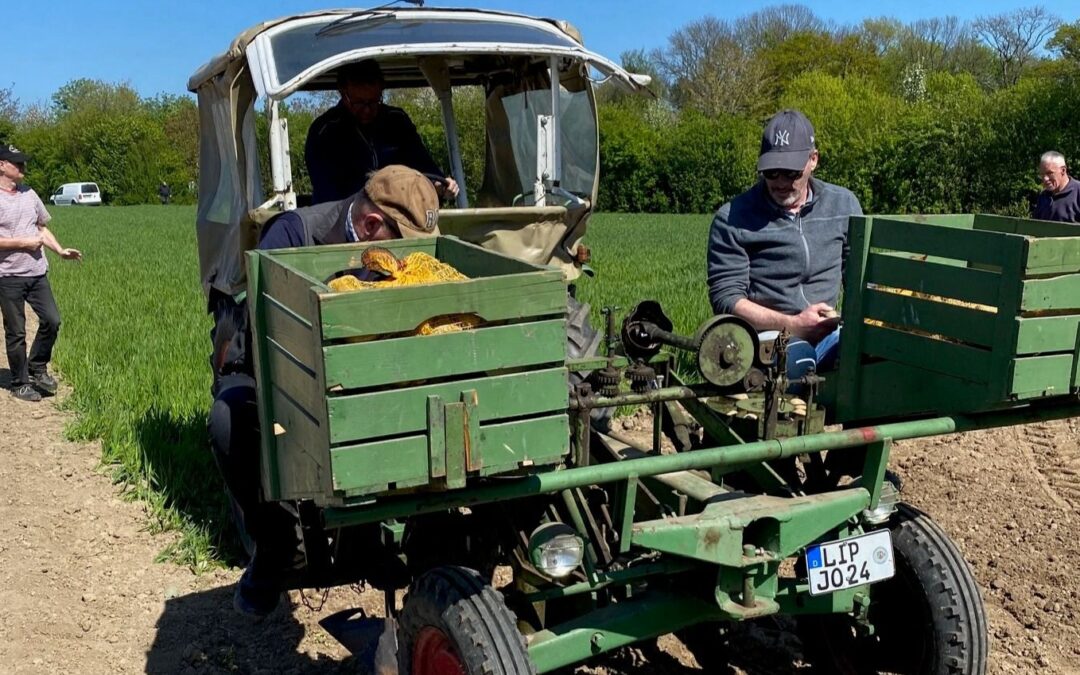 Treckerfreunde Leopoldshöhe begeistern Kinder mit Landwirtschaft zum Anfassen