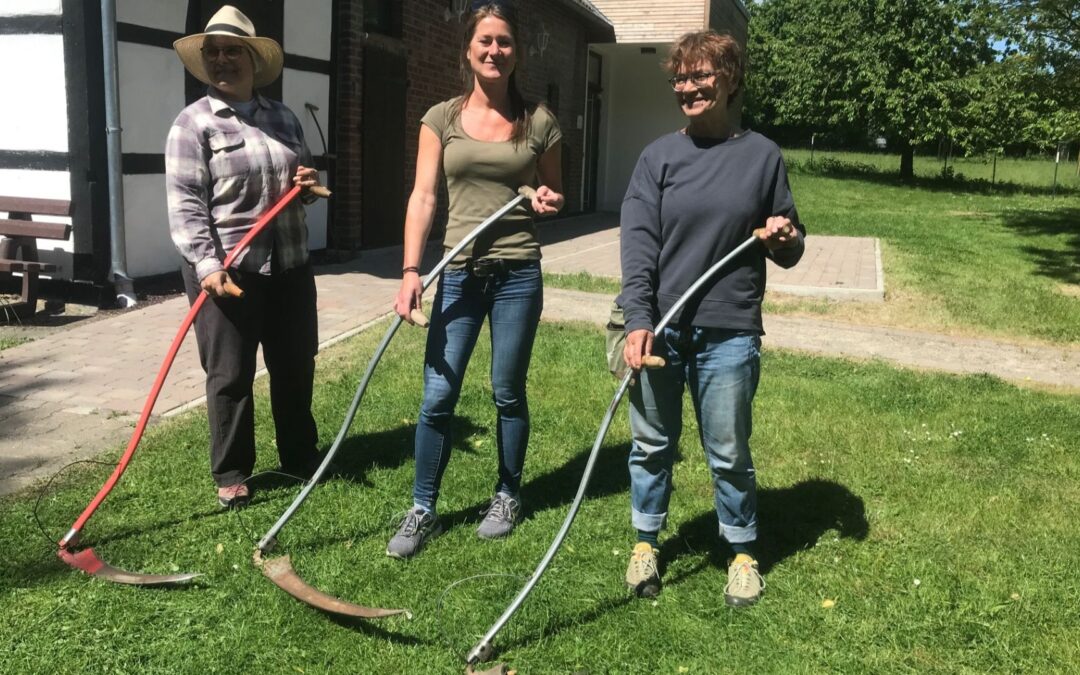 Sensen-Workshop: „Mähen und Dengeln mit Thomas Hafemann“ kehrt zurück