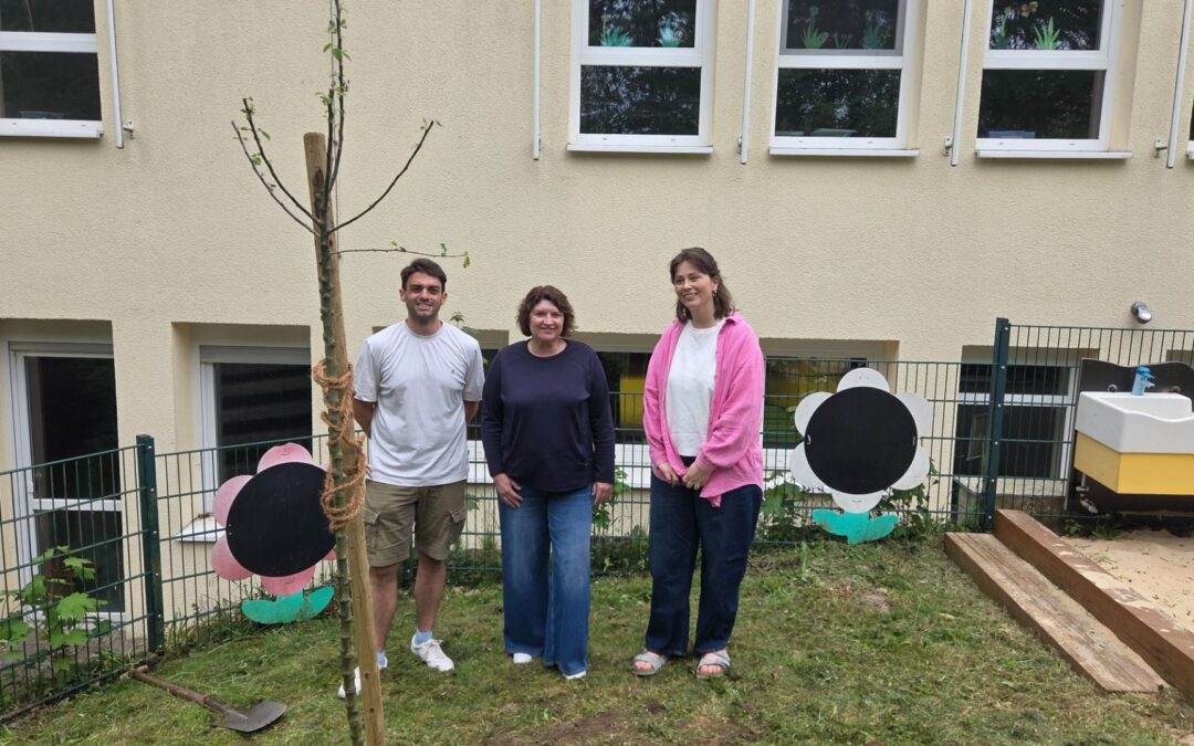 Landtagsabgeordnete pflanzt historischen Apfelbaum in Kita Greste