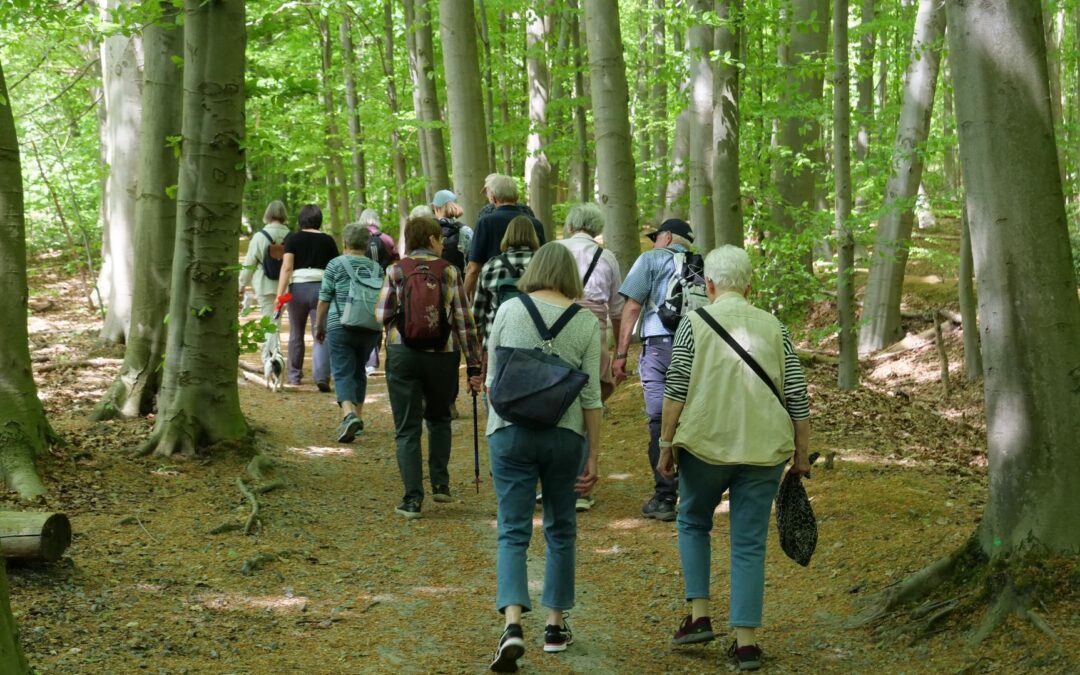 Wandergruppe des Heimatverein Leopoldshöhe genießt Sommertag am Bismarckturm Herford