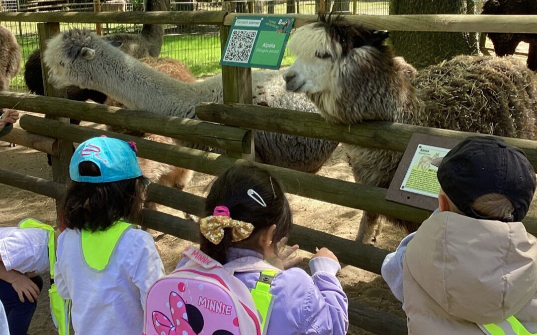 Kita Abenteuerland stürmt Tierpark Herford: Ein Tag voller Lachen, Tiere und Pommes