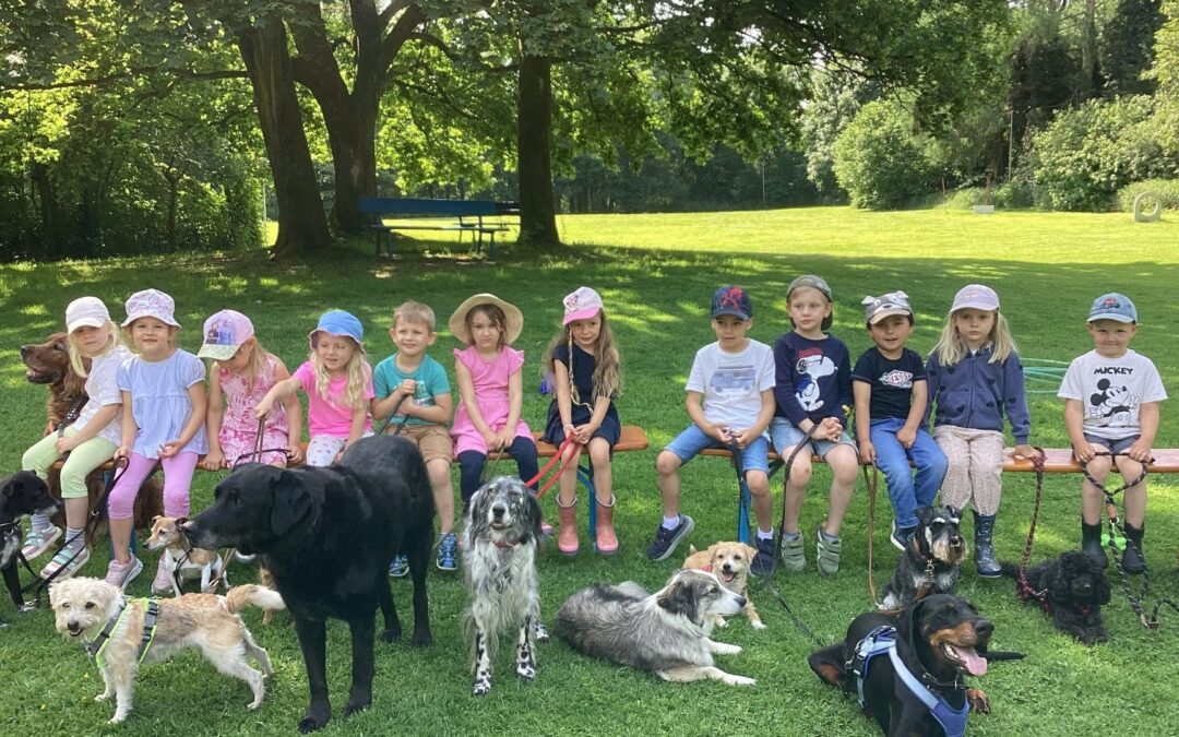 Vierbeiner begeistern Kinder des AWO-Kindergartens Wülferlieth bei „Just-for-fun“-Stunde