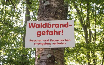 Weißes Schild an einem Baumstamm mit der roten Aufschrift: „Waldbrandgefahr! Rauchen und Feuermachen strengstens