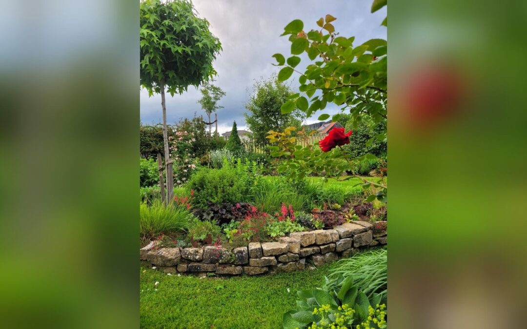 Lippe blüht auf: Private Gartenparadiese öffnen ihre Pforten am 13. und 14.6.2026