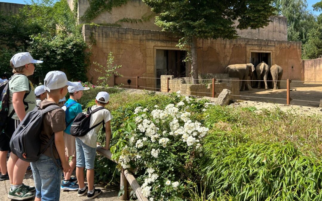Grundschule Asemissen verlegt ihren Lernort nach Hannover in den Zoo