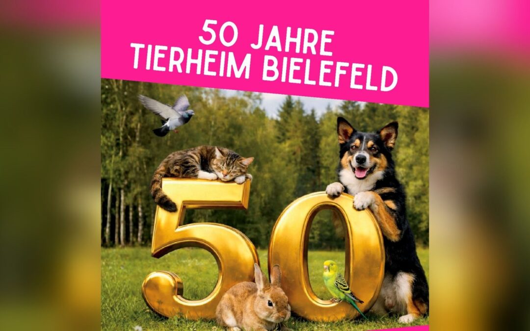 50 Jahre Tierheim Bielefeld – Großes Jubiläumsfest an zwei Tagen