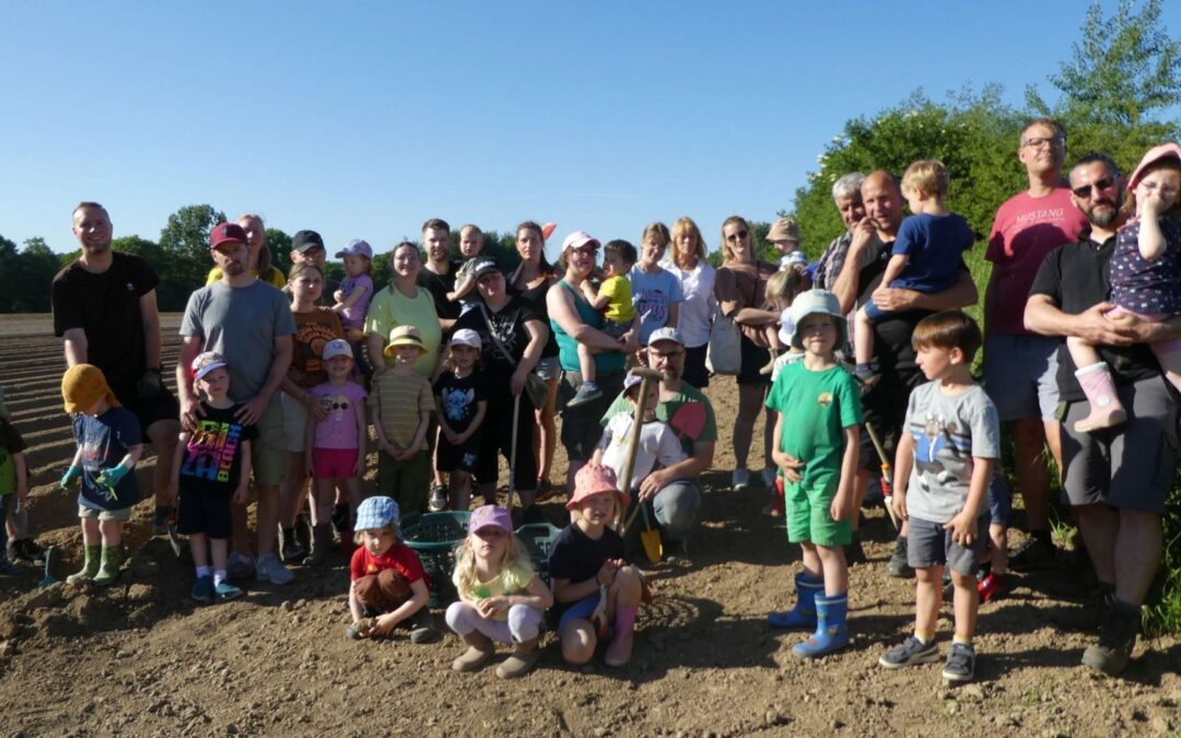 Kartoffelprojekt begeistert Kinder und Familien