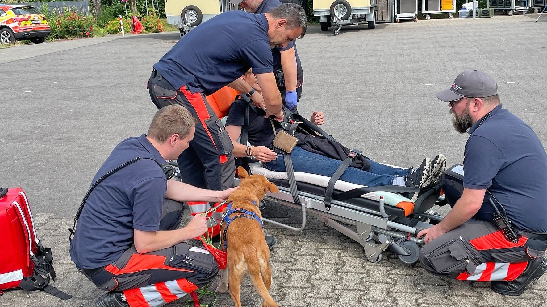 Mehrere Einsatzkräfte betreuen eine Person auf einer Trage, ein Hund steht angeleint auf einem Parkplatz daneben