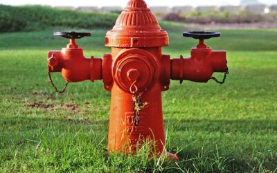 Roter Hydrant mit zwei schwarzen Ventilen und Ketten auf einer grünen Rasenfläche