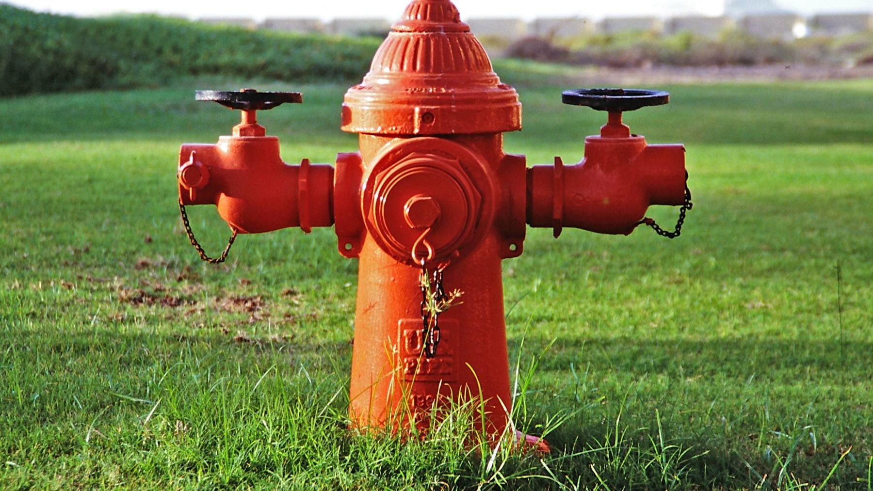 Roter Hydrant mit zwei schwarzen Ventilen und Ketten auf einer grünen Rasenfläche