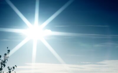 Helle Sonne mit deutlichen Strahlen am blauen Himmel und dunklen Baumzweigen im Vordergrund
