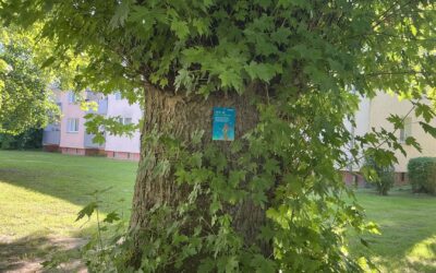 Baumstamm mit grünen Blättern und blauem Schild „Mehr als nur ein Baum!“ vor Wohngebäuden und Rasen
