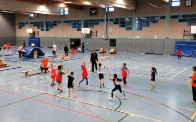 Kinder und Erwachsene beim Handballtraining und Turnen an verschiedenen Geräten in einer Sporthalle