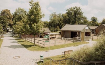 Mehrere Holzhütten mit eingezäunten Gehegen, gepflasterten Wegen und Bäumen auf einem Kleintierhof