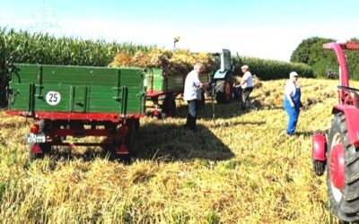 Vier Männer stehen mit zwei Traktoren und vollen Anhängern auf einem sonnigen, abgeernteten Feld