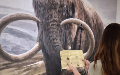 Eine Person mit Broschüre vor dem großen Wandbild eines wolligen Mammuts mit Stoßzähnen