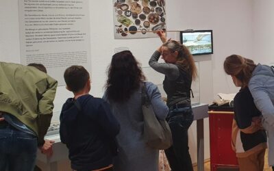 Besucher in einer Ausstellung: Eine Frau erklärt mit einem Stab vor einer Schautafel, andere schauen Displays an