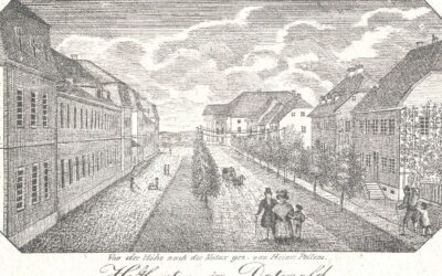 Eine belebte Straße in Detmold mit mehrstöckigen Gebäuden, Spaziergängern, Bäumen und einer Pferdekutsche
