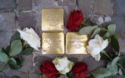 Drei goldene Stolpersteine für Siegfried Bornheim, Lilly und Ernst Heimann auf Pflastersteinen mit roten und weißen
