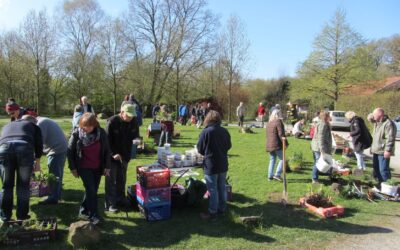 Zahlreiche Menschen tauschen Pflanzen in Töpfen und Kisten auf einer großen, sonnigen Wiese mit vielen Bäumen