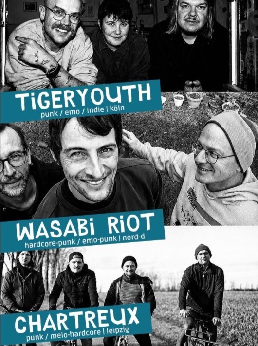 Collage aus Schwarz-Weiß-Fotos: Tigeryouth (drei Personen), Wasabi Riot (drei lächelnde Männer), Chartreux (vier Männer